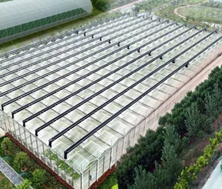 Kejuruteraan Struktur Keluli Projek Pertanian Digital Shanghai Alibaba
